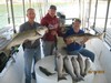 (09/12/2016) - Nice Striped Bass